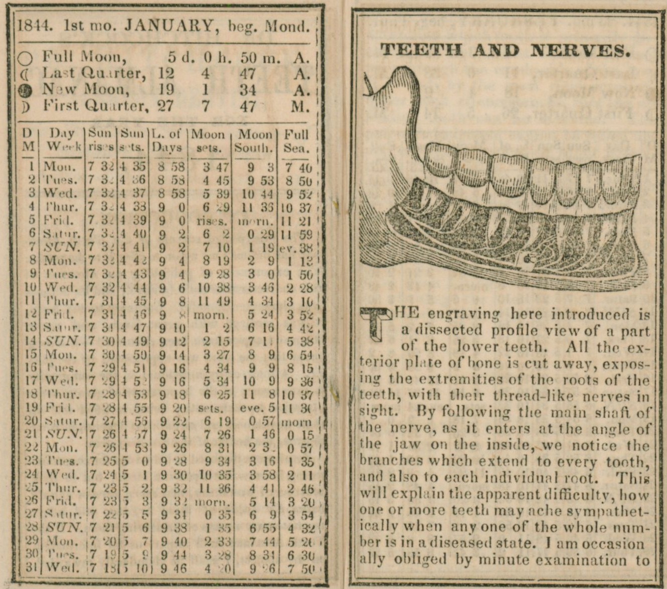 Link to Dr. Hitchcock’s Teeth Almanacs