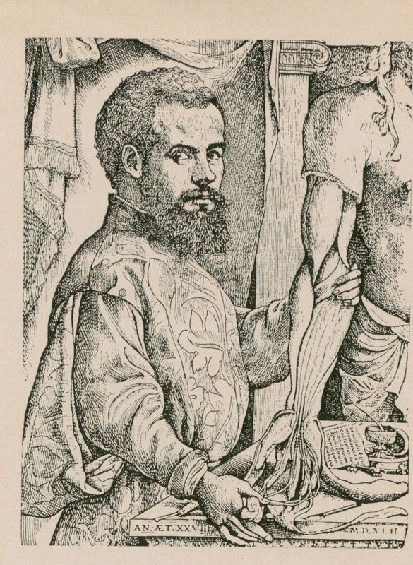 Portrait of Brussels-born Andre Vesalius physician.