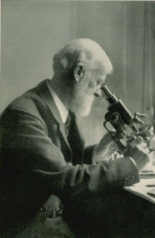 Portrait of Friedrich Albin Hoffmann. 