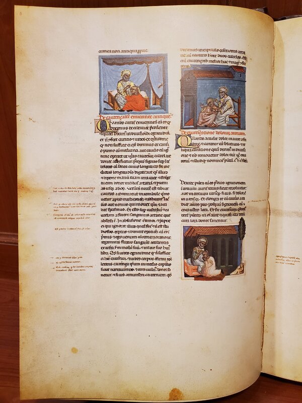 Page of an open book, showing three illustrations a man kneeling while another man tends to him. Text surrounds these images.