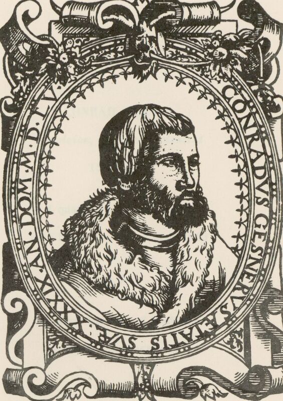 Portrait of Swiss physician Conrad Gesner.