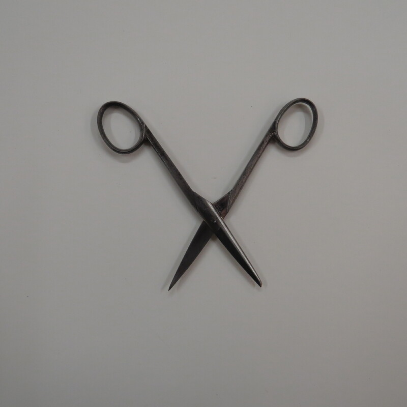 Opened straight steel German scissors, with blunt and sharp tips. 