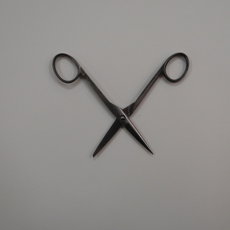 Opened straight steel German scissors, with blunt and sharp tips. 