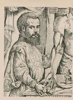 Portrait of Brussels-born Andre Vesalius physician.