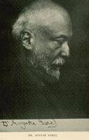 Portrait of Swiss psychiatrist August Forel. 